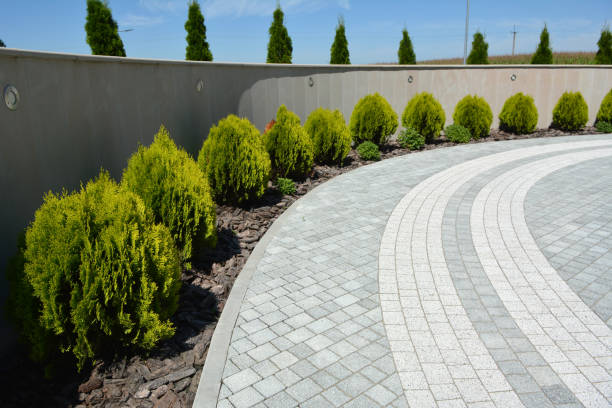 Reasons to Select Us for Your Driveway Paving Requirements in Volo, IL