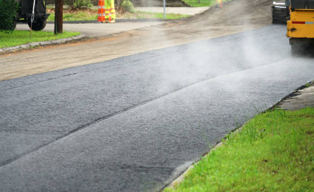 Best Local Driveway Pavers  in Volo, IL